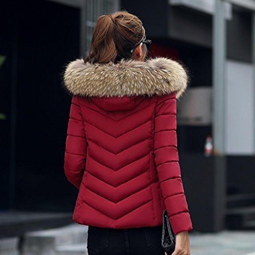 Tsmile Lady Short Coat Victorcn Fashion Solid Women Casual Thicker Winter Warm Slim Down Jacket Overcoat (2X-Large, Wine)