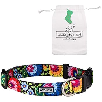 Lucky Love Dog Collars | Vivid Floral Girl or Boy Dog Collar for MediumDogs - Spring & Summer Themed Flower Print - Blackbird, Medium