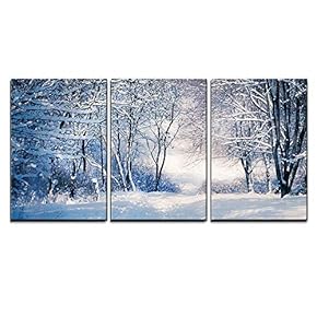 BRAND_NAMEWinter Landscape in Snow Forest Alley in Snowy...
