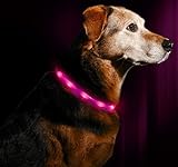 LED Dog Necklace Collar - USB Rechargeable Loop - Available in 6 Colors - Makes Your Dog Visible, Safe & Seen