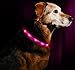 Illumiseen LED Dog Necklace Collar - USB Rechargeable Loop - Available in 6 Colors - Makes Your Dog Visible, Safe & Seen