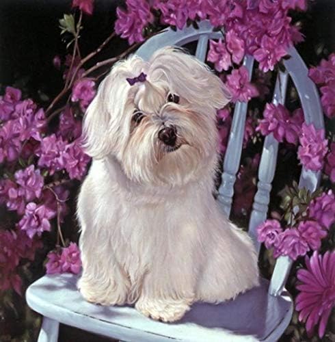 数字油絵 白い子犬 Diy デジタル油絵 手塗 オフィス装飾 40x50 Cm ホーム 商舗 キット塗り絵