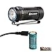 Olight S1 mini Baton 600 Lumen Ultra Compact LED Flashlight with 650mAh RCR123A Rechargeable battery, Micro USB charging cable and LegionArms sticker