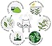 KENKO - Ceremonial Grade Matcha Green Tea Powder - 1st Harvest - Special Drinking Blend for Top Flavor - Best Tasting Premium Matcha Tea Powder - Japanese -30g [1oz]