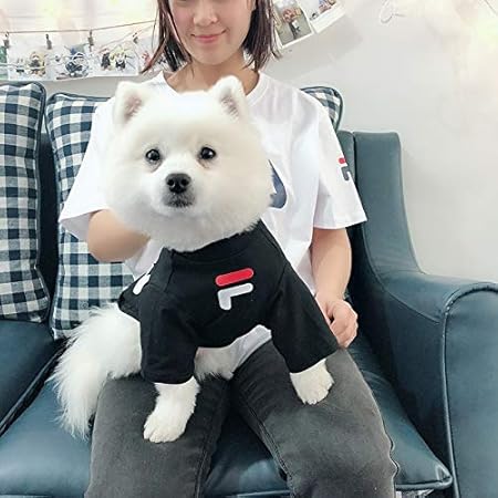 giubbotto estivo under armour