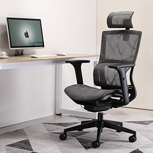 XUER Ergonomic Office Chair Home Office Desk Chair with Adaptive