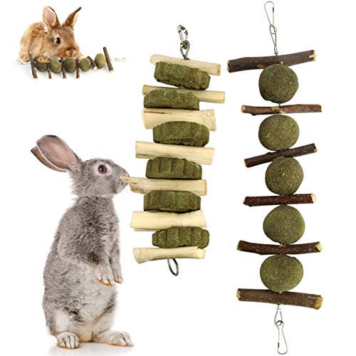 SHINROAD 2Pcs/Set Bunny Tooth Chew Toys, Activity Play Balls Toys-Improve Dental Health-Rabbit Chewing Toys Teeth Care Molar Natural Apple Sticks for Rabbits,Chinchillas,Guinea Pigs,Hamsters