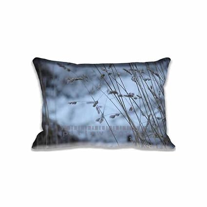 Amazon Com Freezing Pillow Protector Covers Creative Design