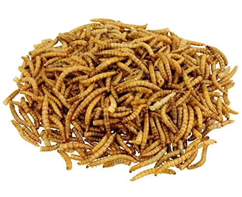Mealworms, Dried Mealworm Package, Ideal Feed for Birds and Garden Wildlife, Highly Nutritious, Bird Feed, 1 x 100g Pack (1)