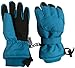 N'Ice Caps Kids Extreme Cold Weather 100 Gram Thinsulate Waterproof Ski Gloves