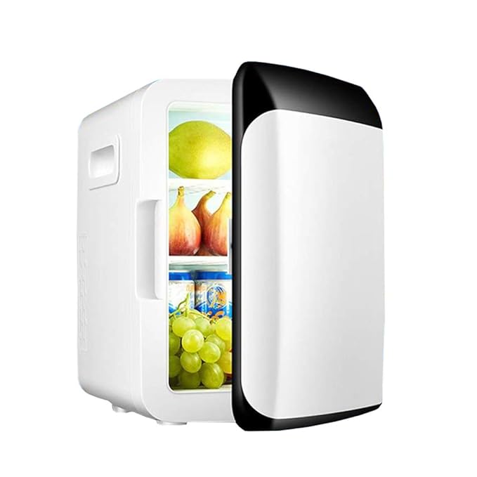 JINRU 10L Refrigerador Auto-Refrigerador para Automóvil DC12V ...