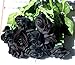 famibay 10pcs Artificial Flowers Rose Bouquets Vintage Fake Silk Rose Flowers with Leaf and Plastic Stem for Home Wedding Party Mother’s Day Garden Hotel Decoration Black