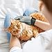 Pet Cat & Dog Grooming Glove Car Seat Furniture Hair & Fur Remover by for Dog Premium - for Short & Long Hair Deshedding Hair Removal & Massage - The Perfect Solution to Excess Hair