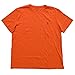 Polo Ralph Lauren Men's Standard Fit Crew Neck T-Shirt (L, Hopi Orange)