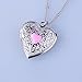 YOUFENG Love Heart Locket Necklace Thar Holds Pictures Heart Circle Shape Lockets Gift for Girl Boy Jewelry (Heart Locket)