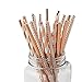 SSORA Disposable Paper Drinking Straws Biodegradable Rose Gold Striped Chevron Solid Pack of 150