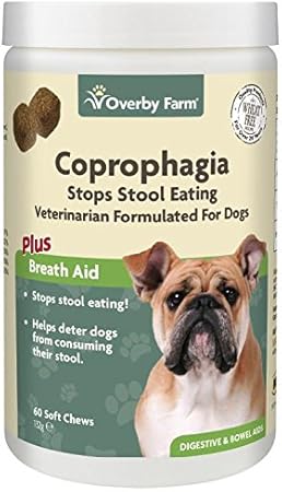 what is coprophagia in dogs