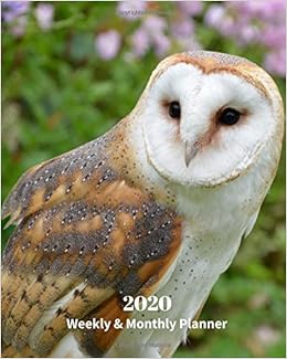 2020 Weekly And Monthly Planner Barn Owl Monthly Calendar With