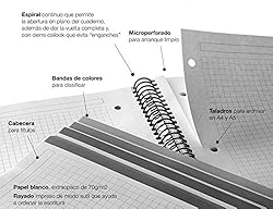 Miquelrius A4 4-Subject Notebook, Hardcover, 120