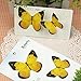 KitMax (TM) Pack of 6 Sets Cute Butterfly Shaped Sticky Notes Gift for Students Children, Color May Vary