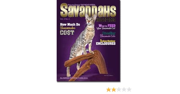 savannah cat 101