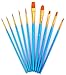 AOOK 10 Pieces Paint Brush Set Watercolor Brushes Professional Paint Brushes Artist for Watercolor Oil Acrylic Painting (1-Pack)