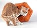 United Pets Cat Cave Bed, 35 x 35 cm, Orange/Beige