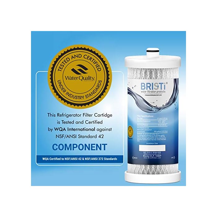 Bristi WF1CB Refrigerator Water Filter Replacement And Fits WFCB, RG