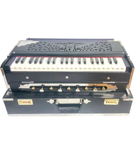 Amazon.com: Bina Portable Professional Harmonium no. 17 Dx