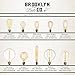 LED ST18 Teardrop Vintage Bulb Hairpin Filament Fully Dimmable 3W Edison Style Warm White E26 Standard Base, Brooklyn Bulb Co. Flatbush Design