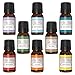 Ella Belle Top 8 Essential Oils - 100% Pure Therapeutic Grade - Sampler Gift Set Kit Includes Tea Tree, Eucalyptus, Lavender, Grapefruit, Rosemary, Lemongrass, Orange & Peppermint.