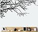 TRURENDI Stunning Tree Branch Removable Wall Art Sticker Vinyl Decal Mural Home Decor (DESIGN 1, 1) OneSize, Black