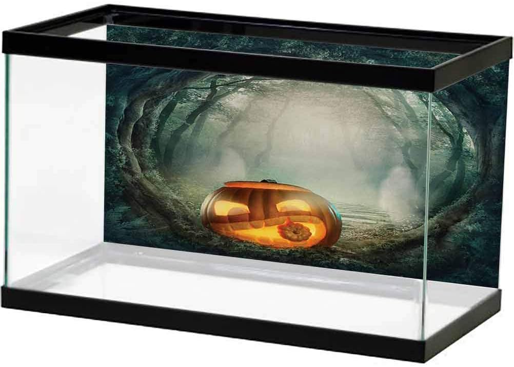 scary fish tank decorations
