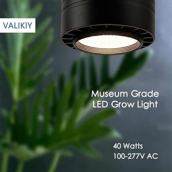 VALIKIY HANGING GROW LIGHT 40W LARGE, FULL SPECTRUM WARM WHITE COLOR, WITH TIMER, PLUG-IN PENDANT GROW LIGHTS WITH 15FT FABRIC POWER CORD, DECORATIVE LIGHT FOR INDOOR PLANTS, FLOWERS