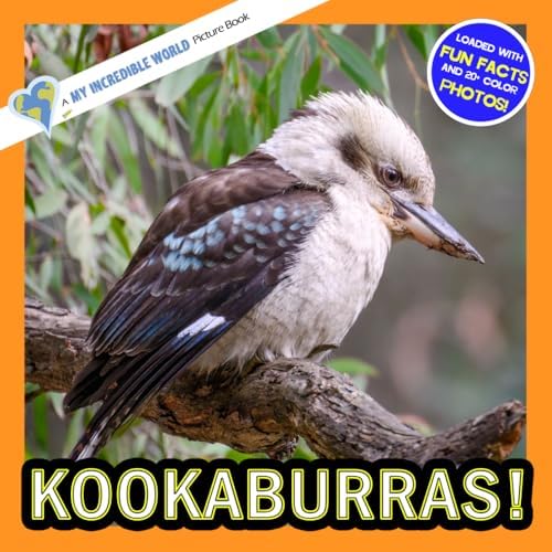 Kookoo Kookaburra: Gregg Dreise: 9781922777188: Amazon.com: Books