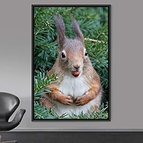 signwin Framed Canvas Wall Art Squirrel Animals Fun...
