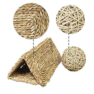 MadeTerra 2 Tappetini e 2 palline per animali domestici,conigli,criceti,porcellini d'India,cincillà e giocattoli da…