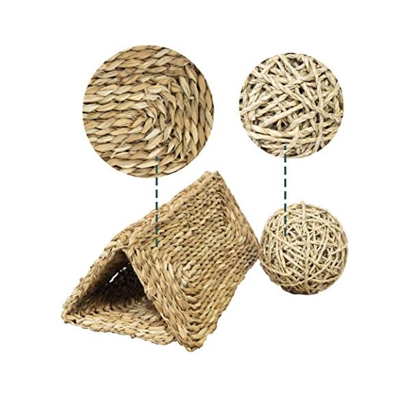 MadeTerra 2 Tappetini e 2 palline per animali domestici,conigli,criceti,porcellini d'India,cincillà e giocattoli da…