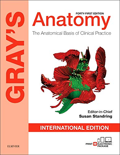 Grays Anatomy The Anatomical Basis Of Clinical Practice