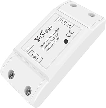 alexa momentary switch