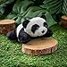 Wildlife Tree 12 Pack Panda Mini 4 Inch Small Stuffed Animals, Bulk Bundle Zoo Animal Toys, Jungle Safari Party Favors for Kids