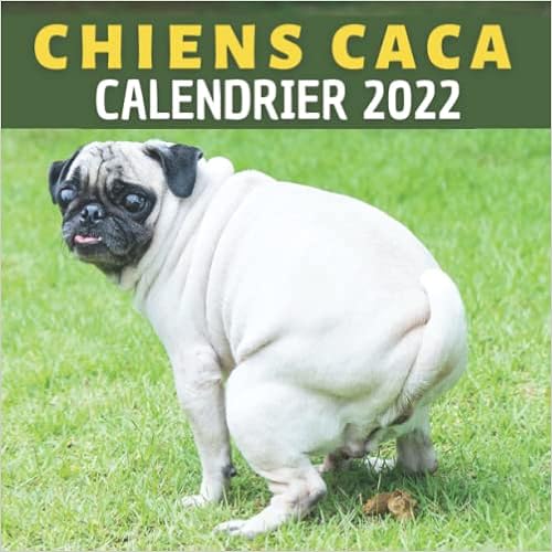 Chiens Caca Calendrier: 12 Mois | Cadeaux Amusants Pour Hommes , Femmes ,  Amis , Collègues , Membre De La Famille , Amoureux Des Animaux , Enfants ,  ... | Idée Cadeau