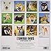Shiba Inus 2019 Wall Calendar (Dog Breed Calendar)