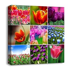 Canvas Wall Art Beautiful Wild Flowers Collage Painting Artwork for Home Prints Framed - 12x12 inches