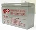 NPP NP6-10Ah F1, 6V 10Ah Battery, Rechargeable Sealed Lead Acid 6V 10Ah Battery Scooter Replaces Enduring 6FM10, NP10-6, KMG-10-6 (F1 Terminal)