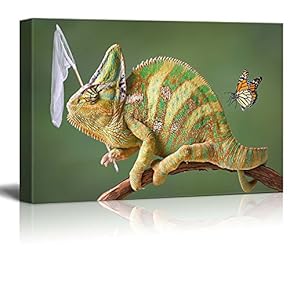 A Veiled Chameleon is Trying to Catch Some Butterflies