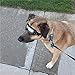YAWALL Dog Goggles Pet Cool Sunglasses UV Protection Windproof Goggles Pet Eye Wear Medium Large Dog Swimming Skating Glasses Accessaries