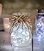 ITART Micro LED String Lights Battery Powered Set of 8 Cool White Mini Fairy Light 20 LED 6ft Ultra Thin Silver Wire Rope Lights for Craft DIY Costume Centerpieces Display