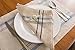 DII French Stripe Tabletop Collection Farmhouse Style Dining Table Linen Napkin Set, 20x20, Taupe/Blue, 6 Piece