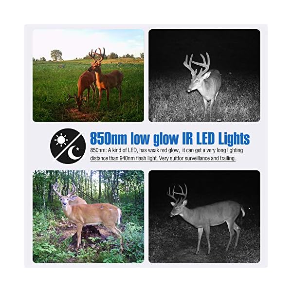 BolyGuard Wildkamera,24MP 1080P Full HD Jagdkamera 940nm No Glow Infrarot 90ft/27M Nachtsicht Überwachungskamera 1.44… – Bild 5